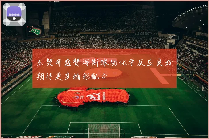 东契奇盛赞海斯球场化学反应良好期待更多精彩配合
