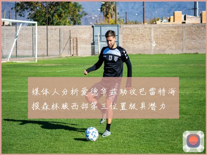 媒体人分析爱德华兹助攻巴雷特海报森林狼西部第三位置极具潜力
